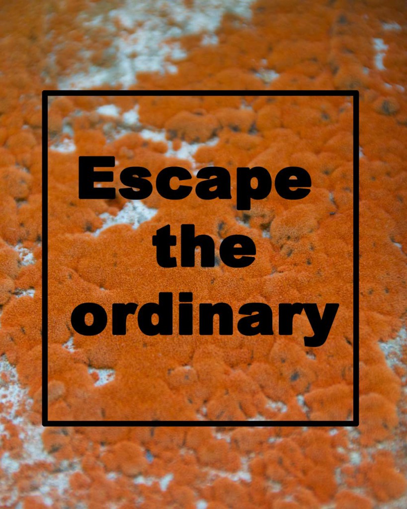 Escape-the-ordinary